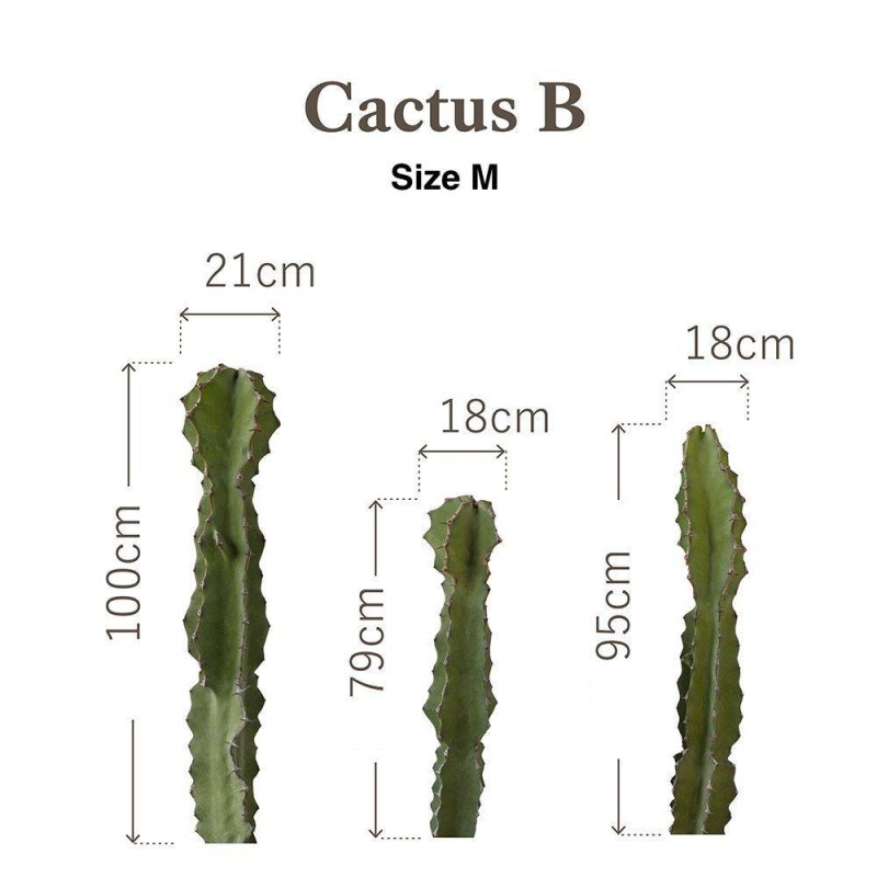 Botanical Sticker | Pillar Cactus B